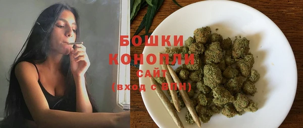 мет Бородино
