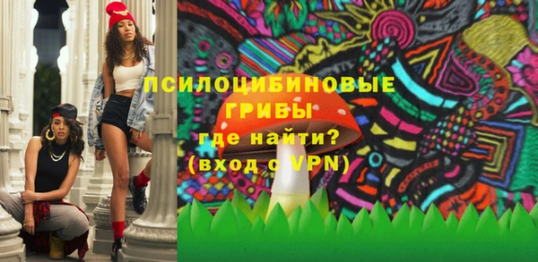 бошки Богородск