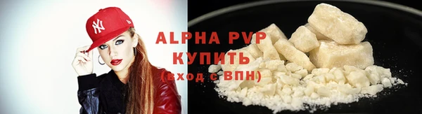 гашик Богданович