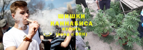 мет Бородино