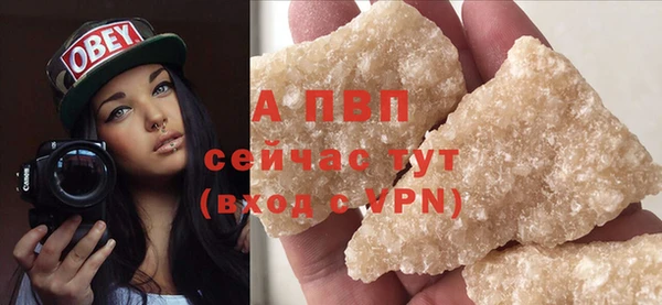 гашик Богданович