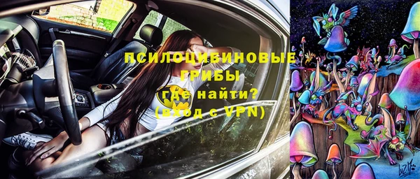 бошки Богородск