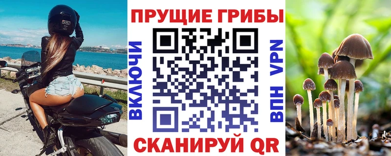 Псилоцибиновые грибы мухоморы продажа наркотиков Пермь